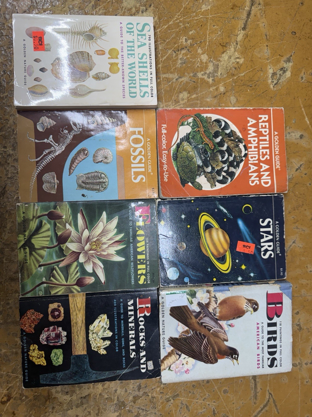 Golden Guide Nature Books Lot of 7 Birds Stars Fossils Rocks Shells Flowers