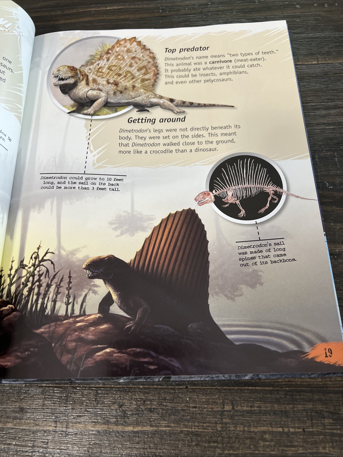 The Complete Guide To Dinosaurs Hardcover Book By Dougal Dixon Facts Beautiful