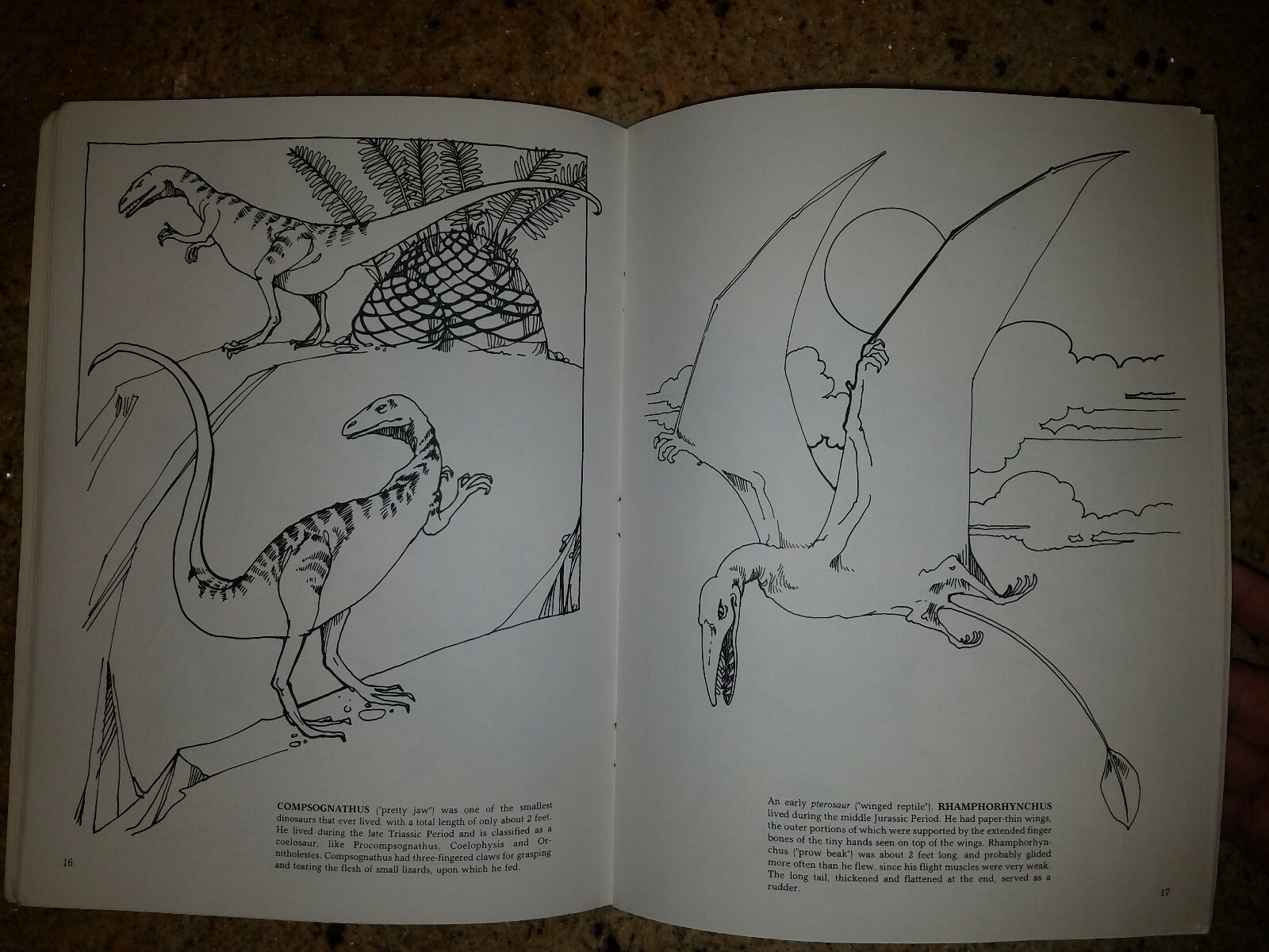 Doyer Coloring Book The Dinosaur Coloring Book Vintage 1980