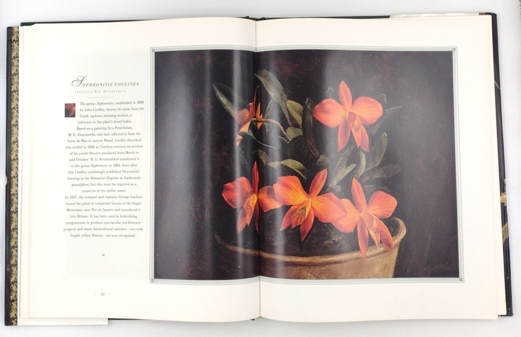 The Forgotten Orchids Of Alexandre Brun Hardcover Book 159 Pages 1992