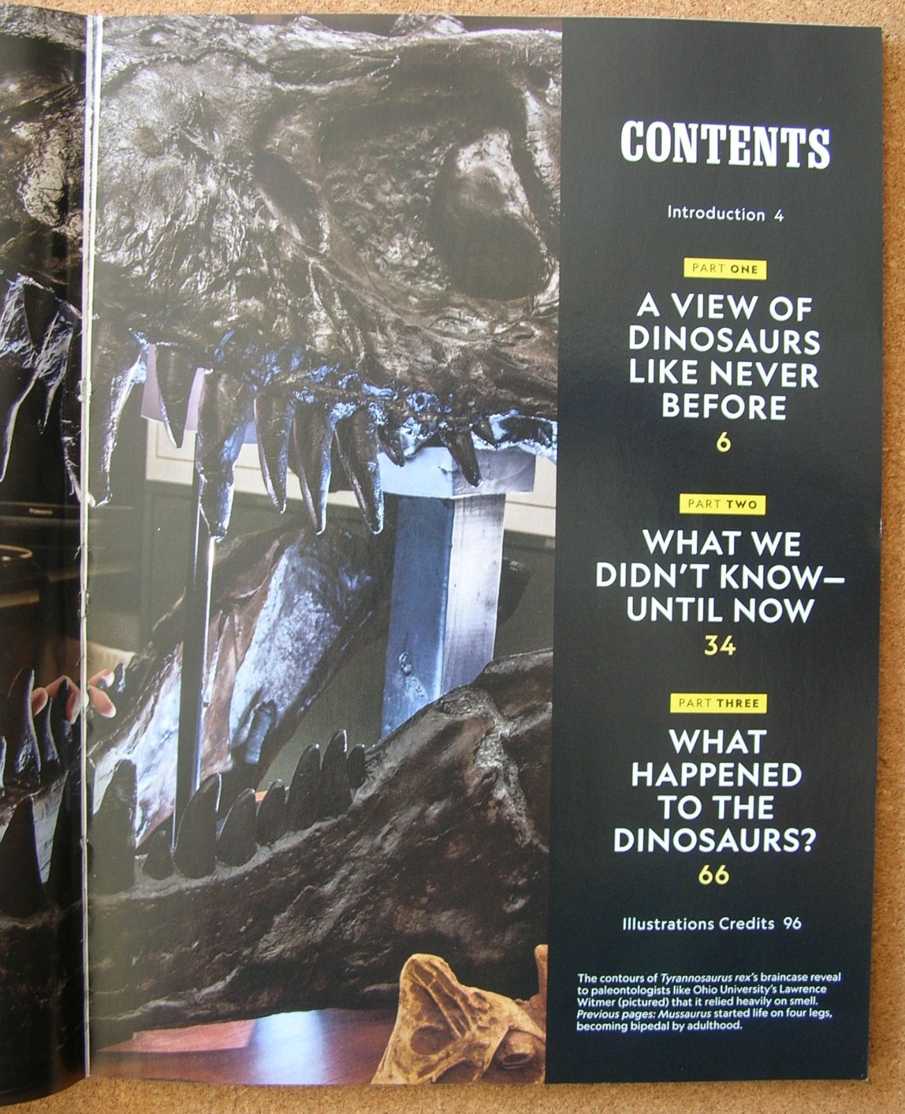 National Geographic DINOSAURS: A New Look at the Prehistoric Icons
