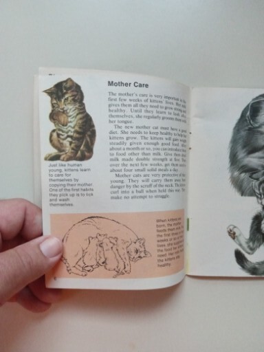 SCIMITAR NP Cats By Jill Hughes 1981 Paperback