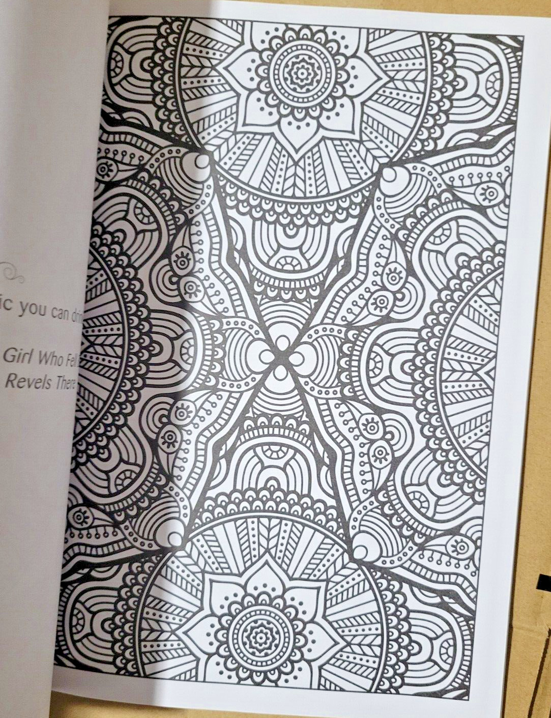 SPLASH OF COLOR – Vol. 27 – Creative Expressions Adult Coloring Book