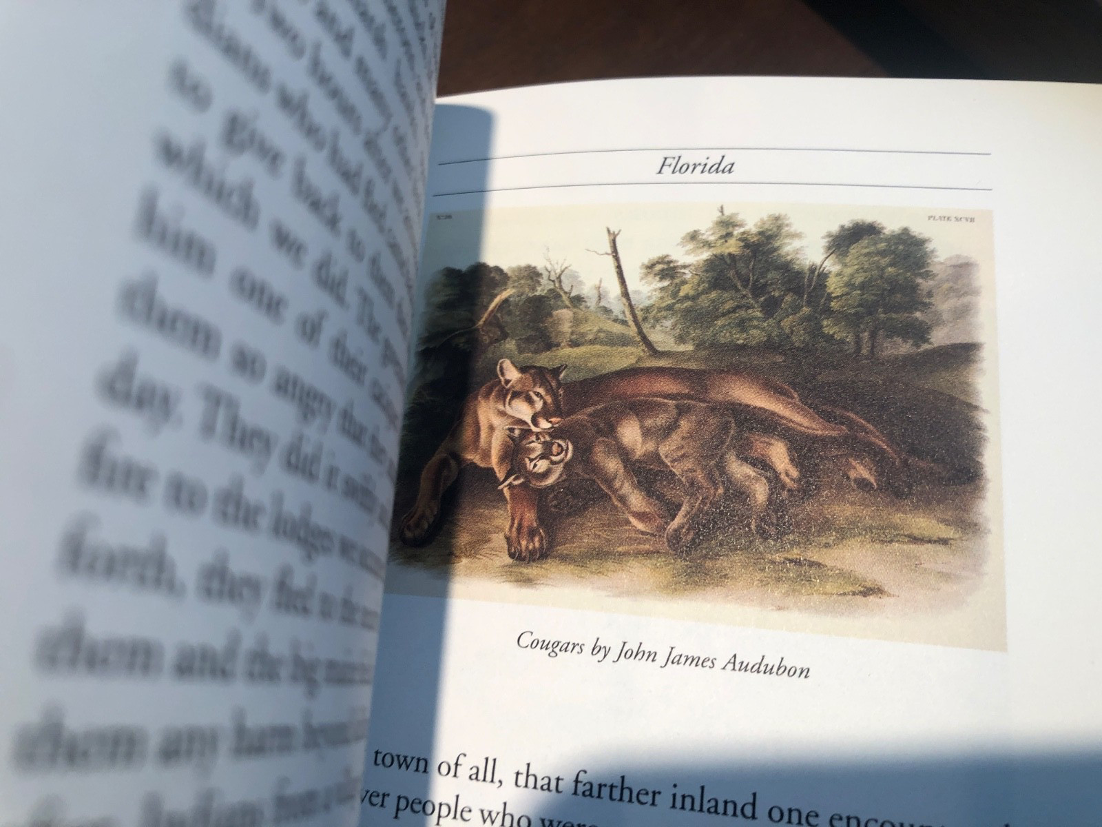 Narrative of the Narvaez Expedition Alvar de Vaca Lakeside Classics 2013 HC
