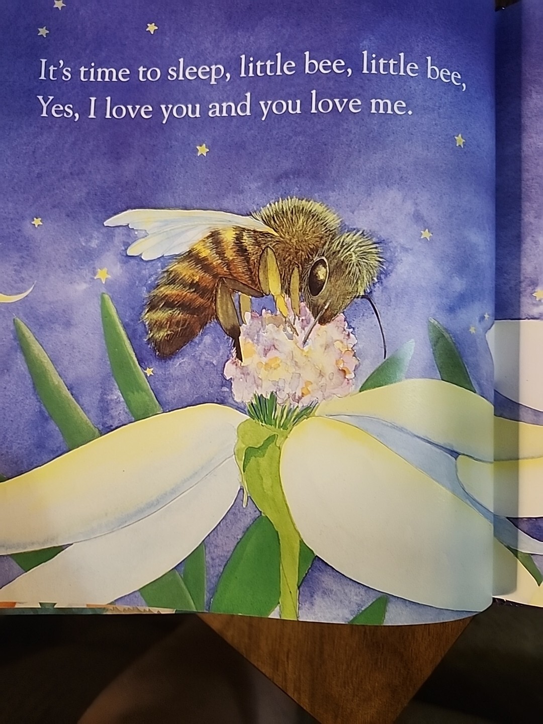 Time For Bed And Tops & Bottoms Kids Books