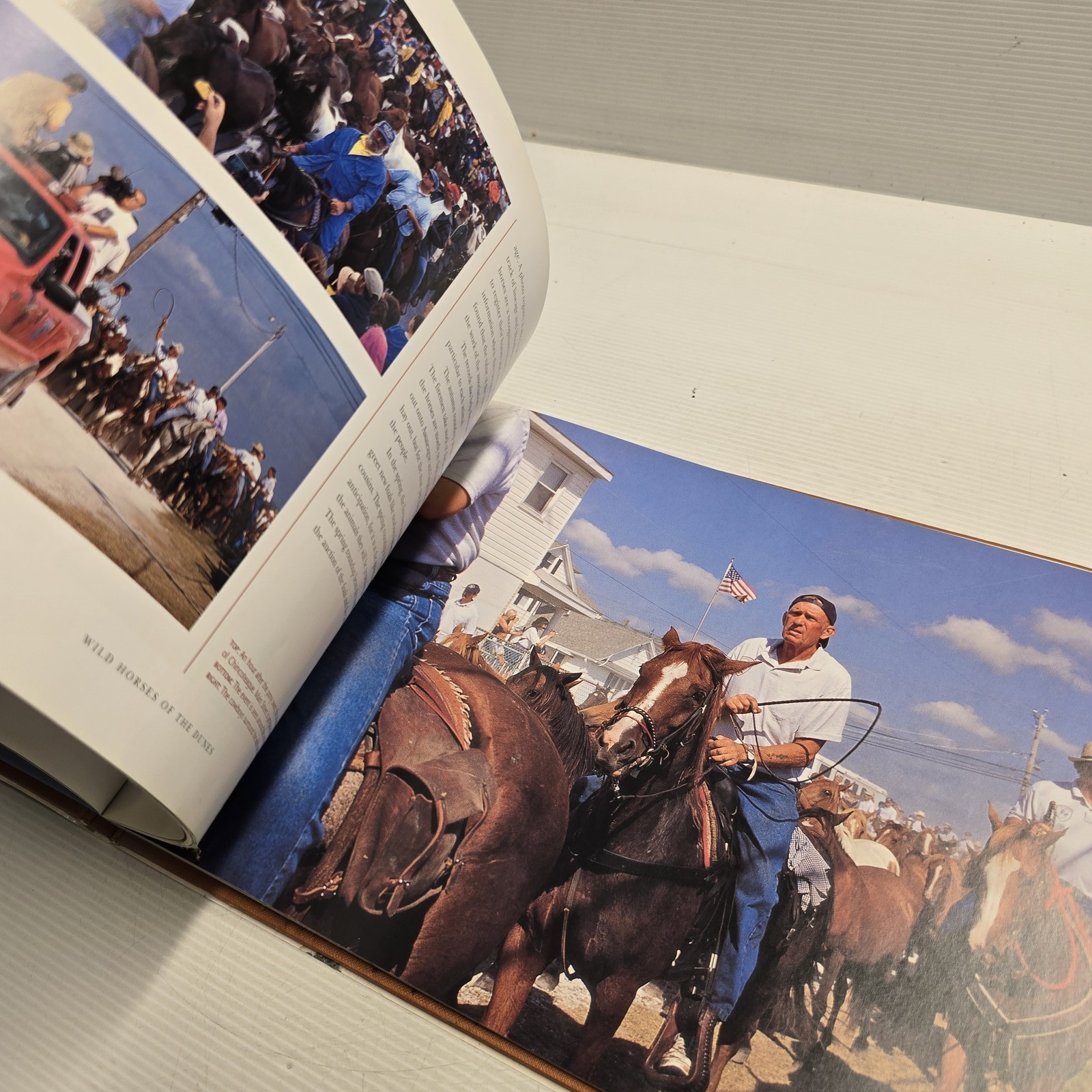 Wild Horses of the Dunes by Rich Pomerantz Hardcover Photography Book Nature