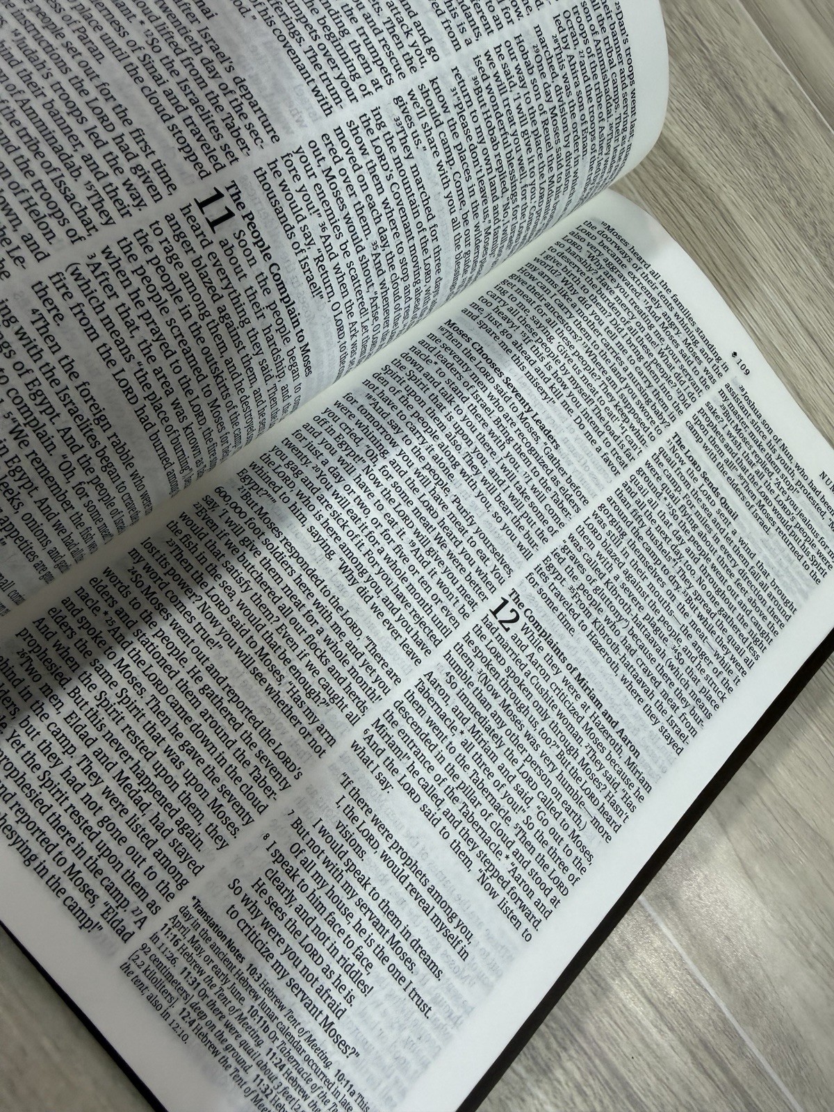 New- NLT Premium Value Thinline Bible, Filament Enabled, Brown Color ~~ No Box