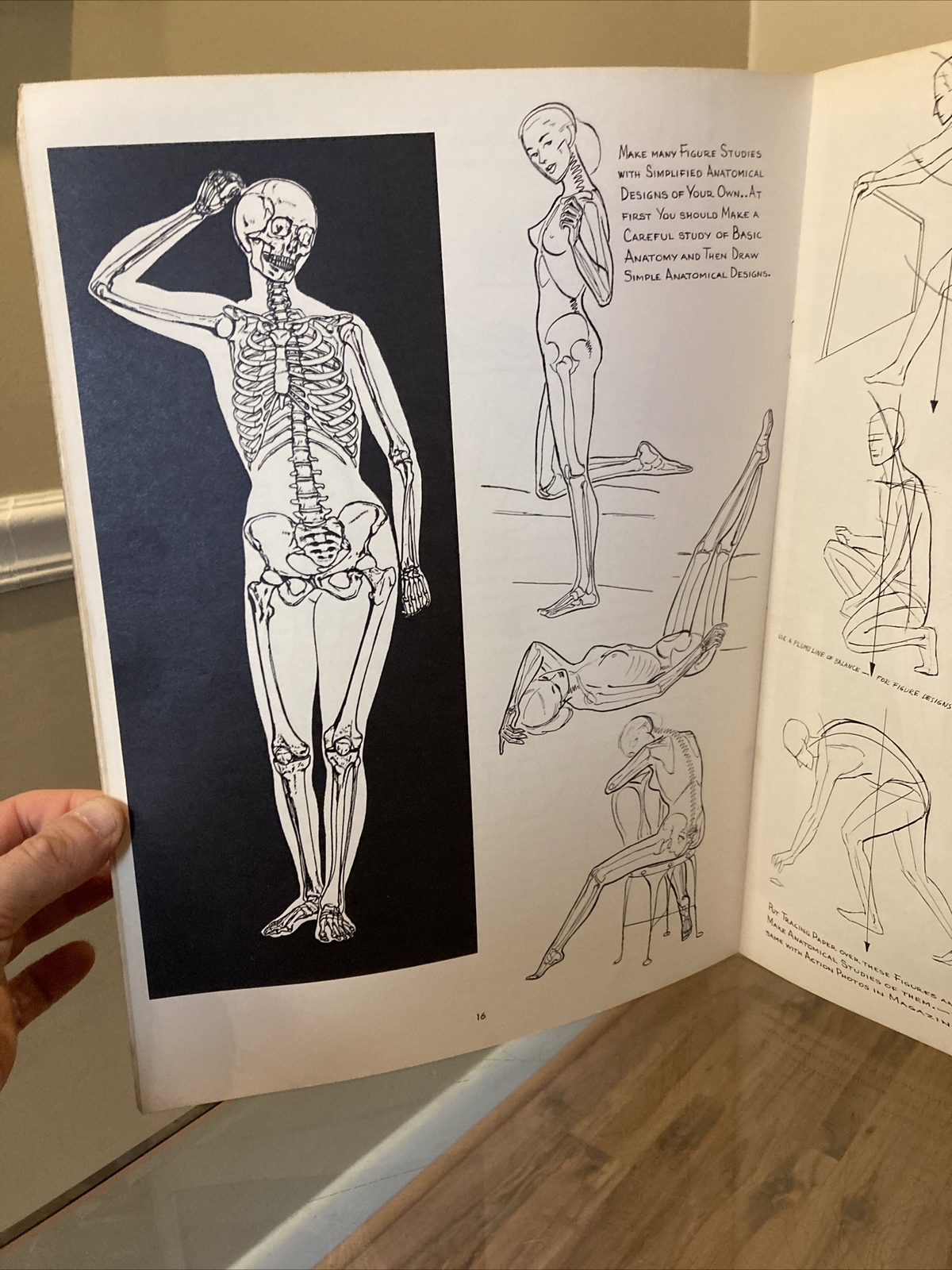 ANATOMY by Walter T Foster VINTAGE Paperback Drawing Book, Large Size QUICK SHIP