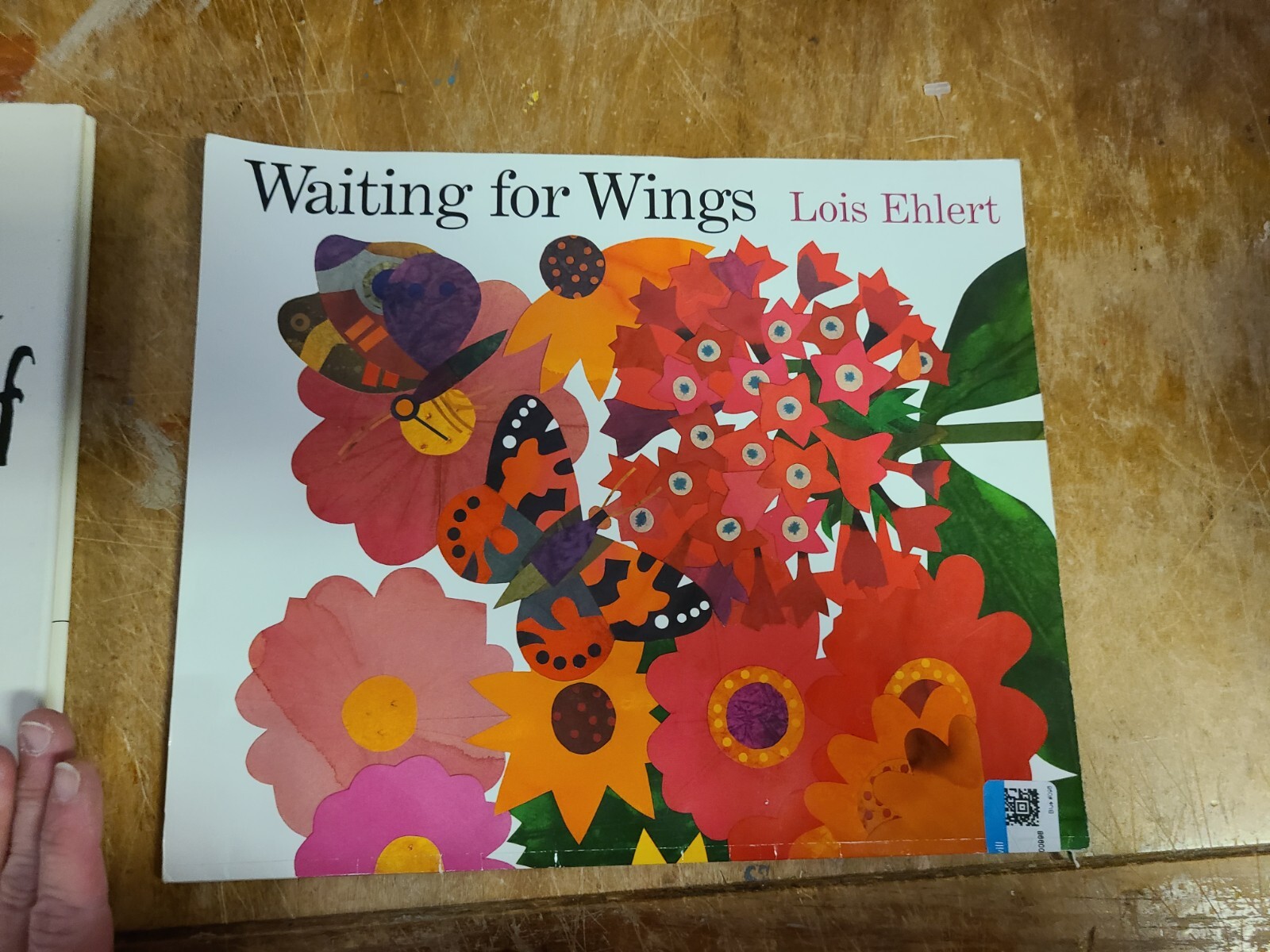Lois Ehlert Book Lot – 7 Books