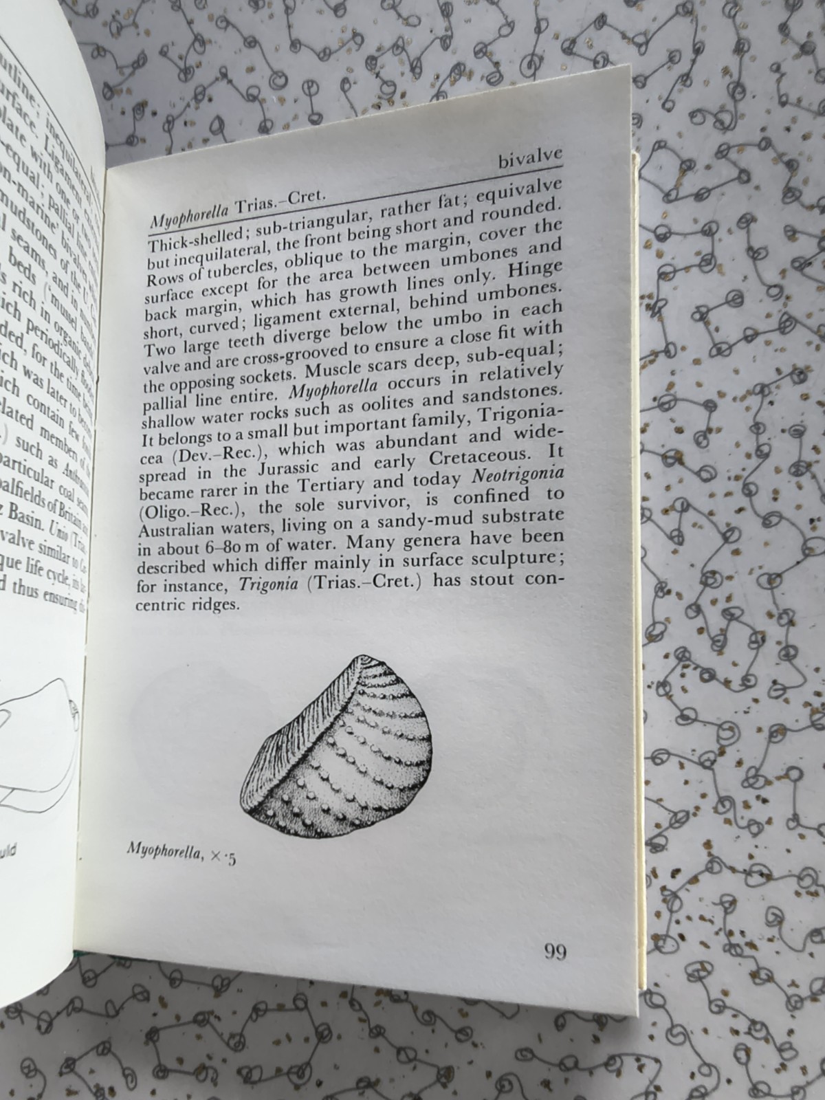 The Observer’s Book of Fossils by Rhona M. Black 1977 First Edition Hardback
