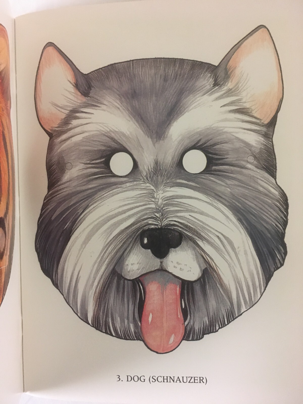 Cut and make Animal Masks in full colors by Anthony Rao Excellent condition 1986