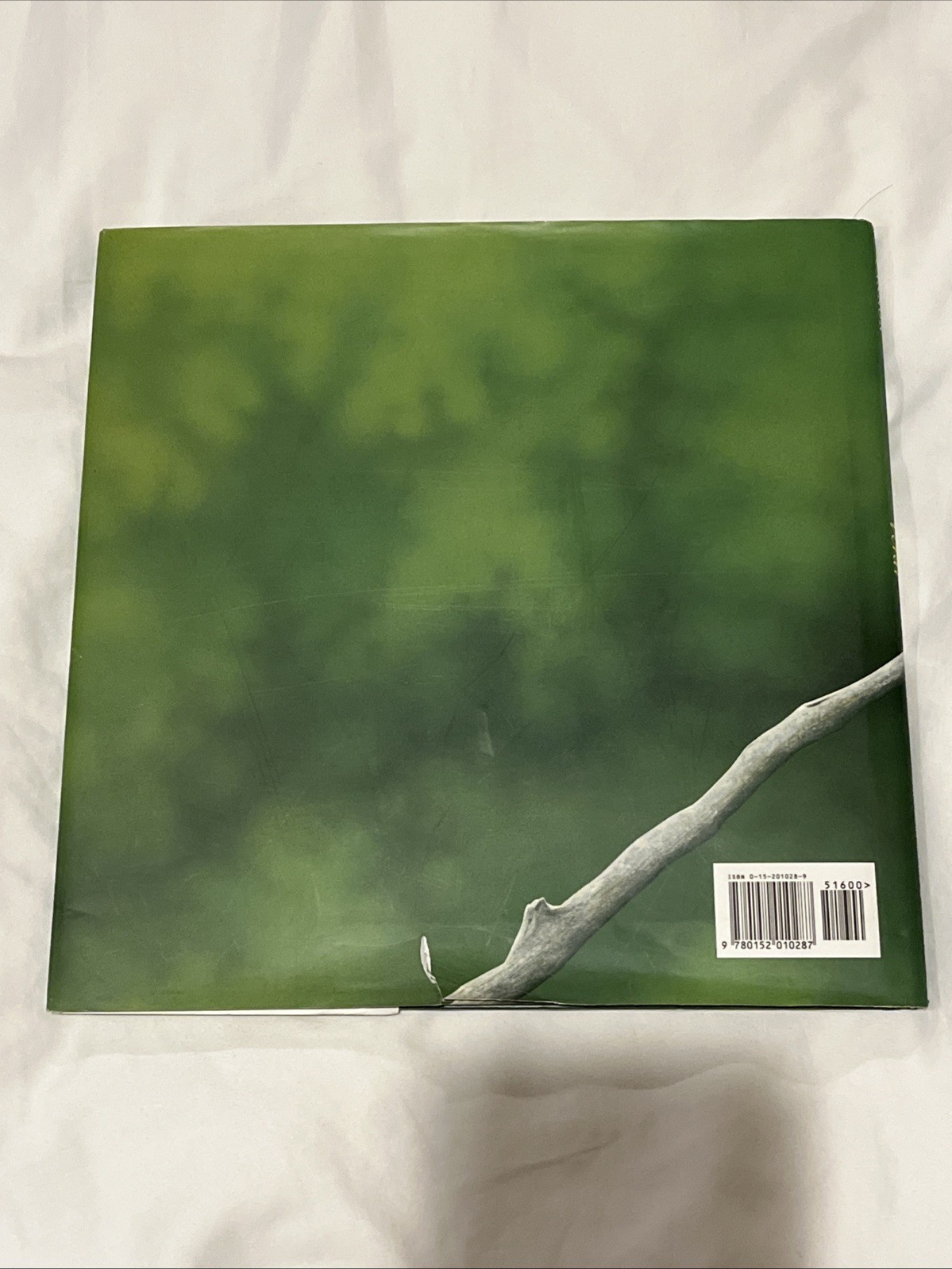 Verdi by Janell Cannon (1997, Hardcover) — One-Owner, Very Good Condition