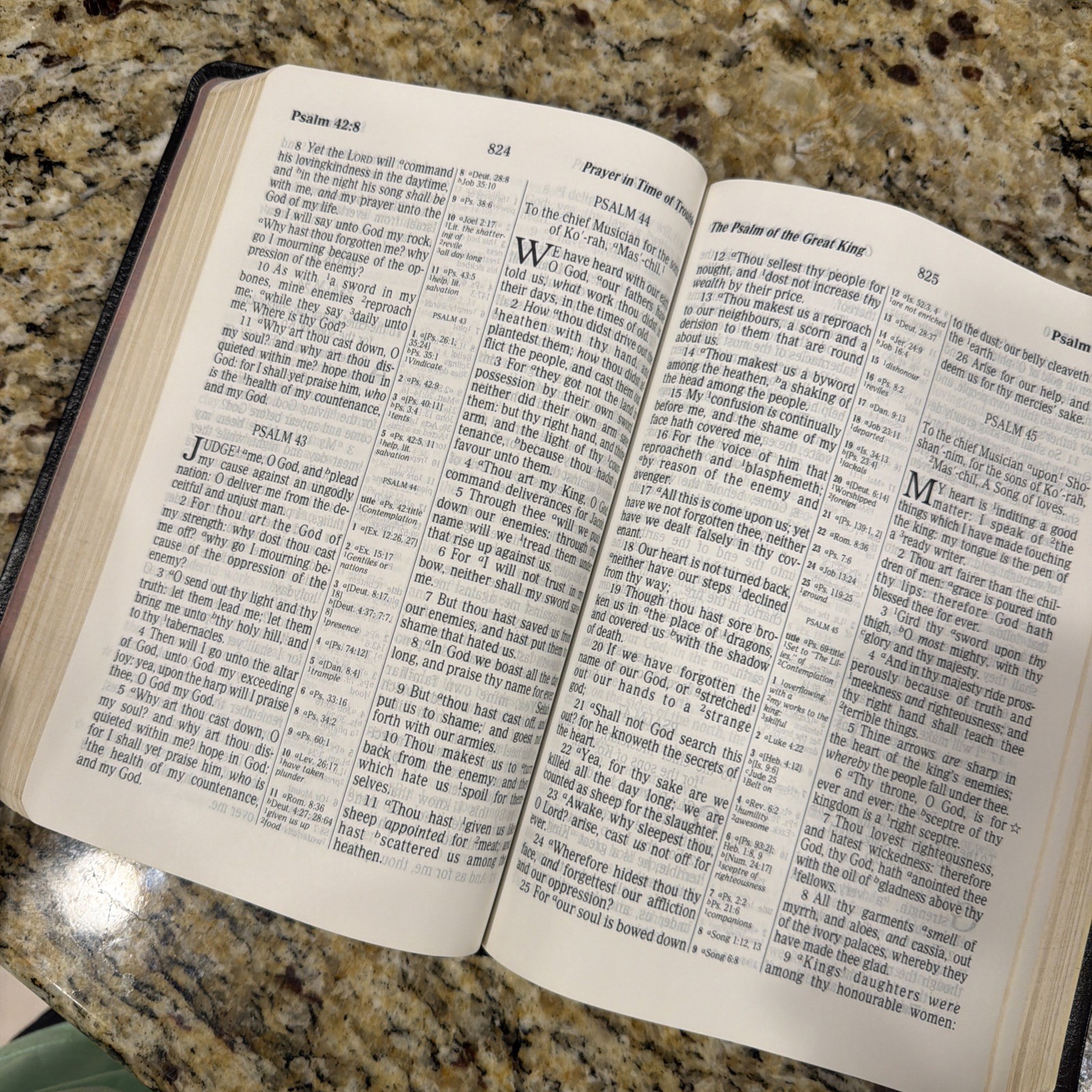 Holy Bible KJV Giant Print Center Column Ref Edition Leather Cover Nelson 895
