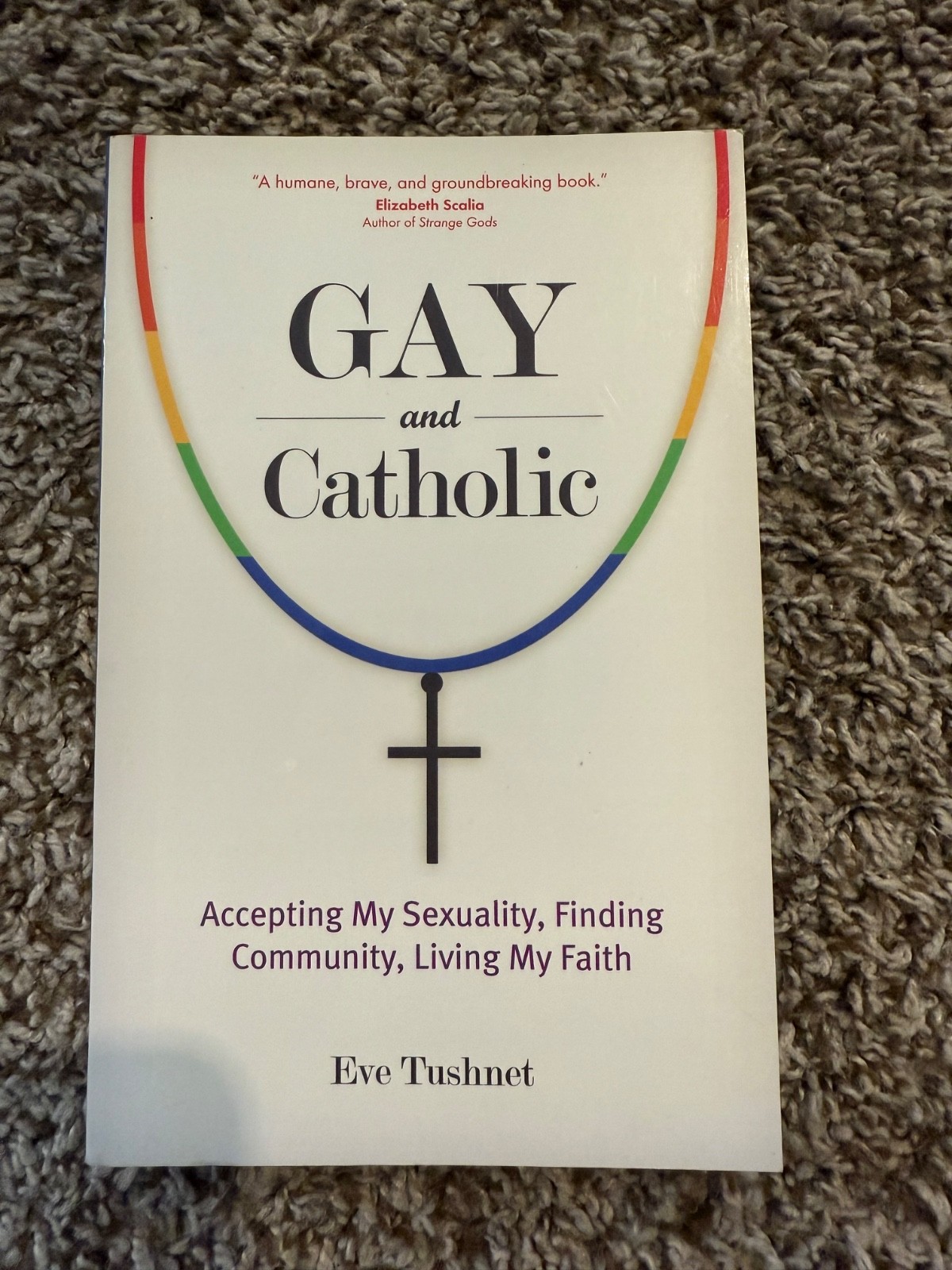 Gay and Catholic : Accepting My Sexuality, Finding Community, Living My Faith by