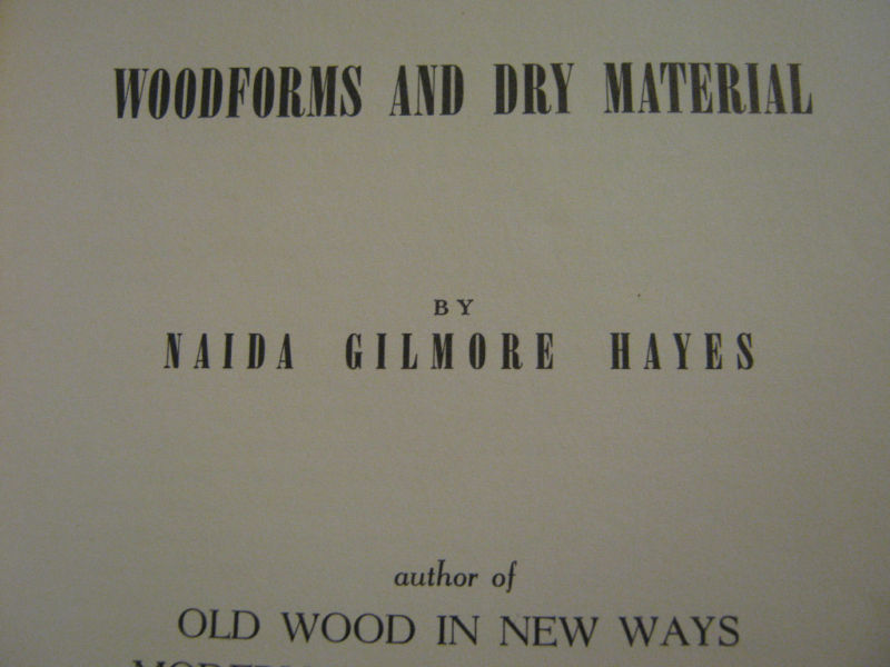 1960 Woodforms and Dry Material by Naida Gilmore Hayes