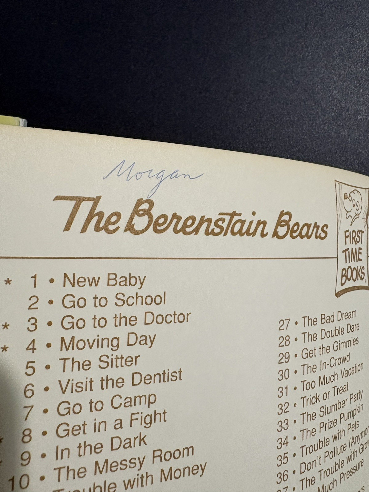 25 Berenstain Bears Books Mostly First Time by Jan Stan & Mike Berenstain No Dup