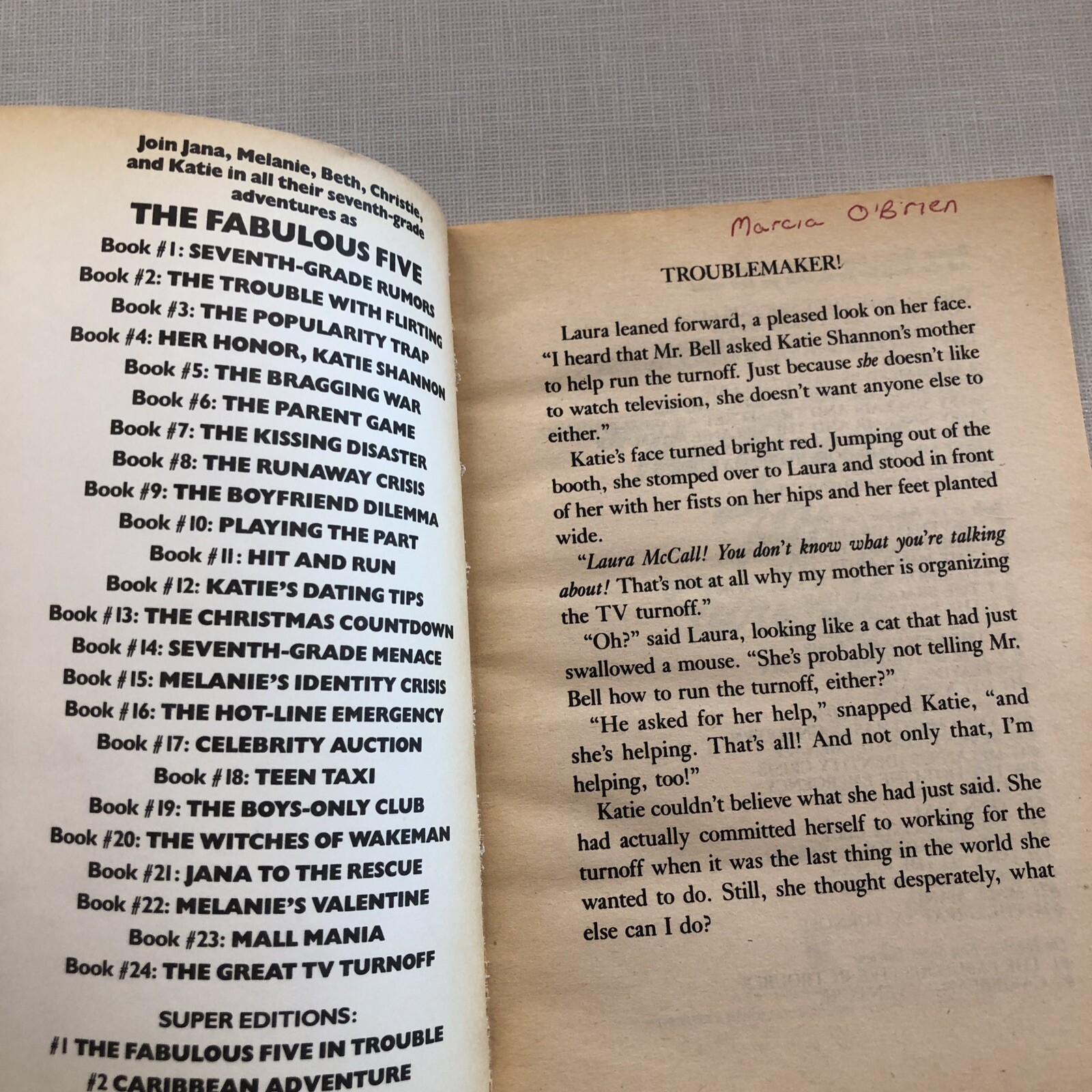 The Great Tv Turnoff (Fabulous Five) Haynes, Betsy paperback Used – Good