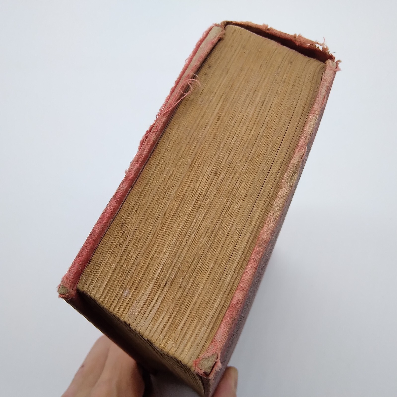 MADELINE PAYNE, THE DETECTIVES DAUGHTER by Lawrence L. Lynch 1885 HC Rare