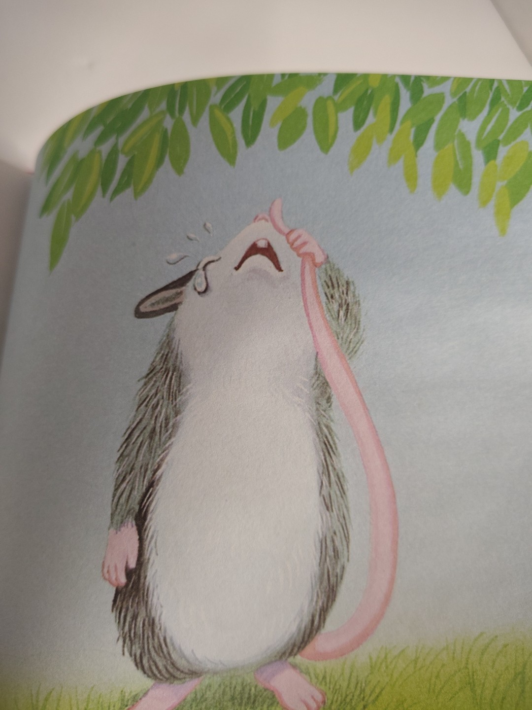Lot Of 4 Little Bendon Books Moose And Mouse, Time For Bed Little Chick, M Is…