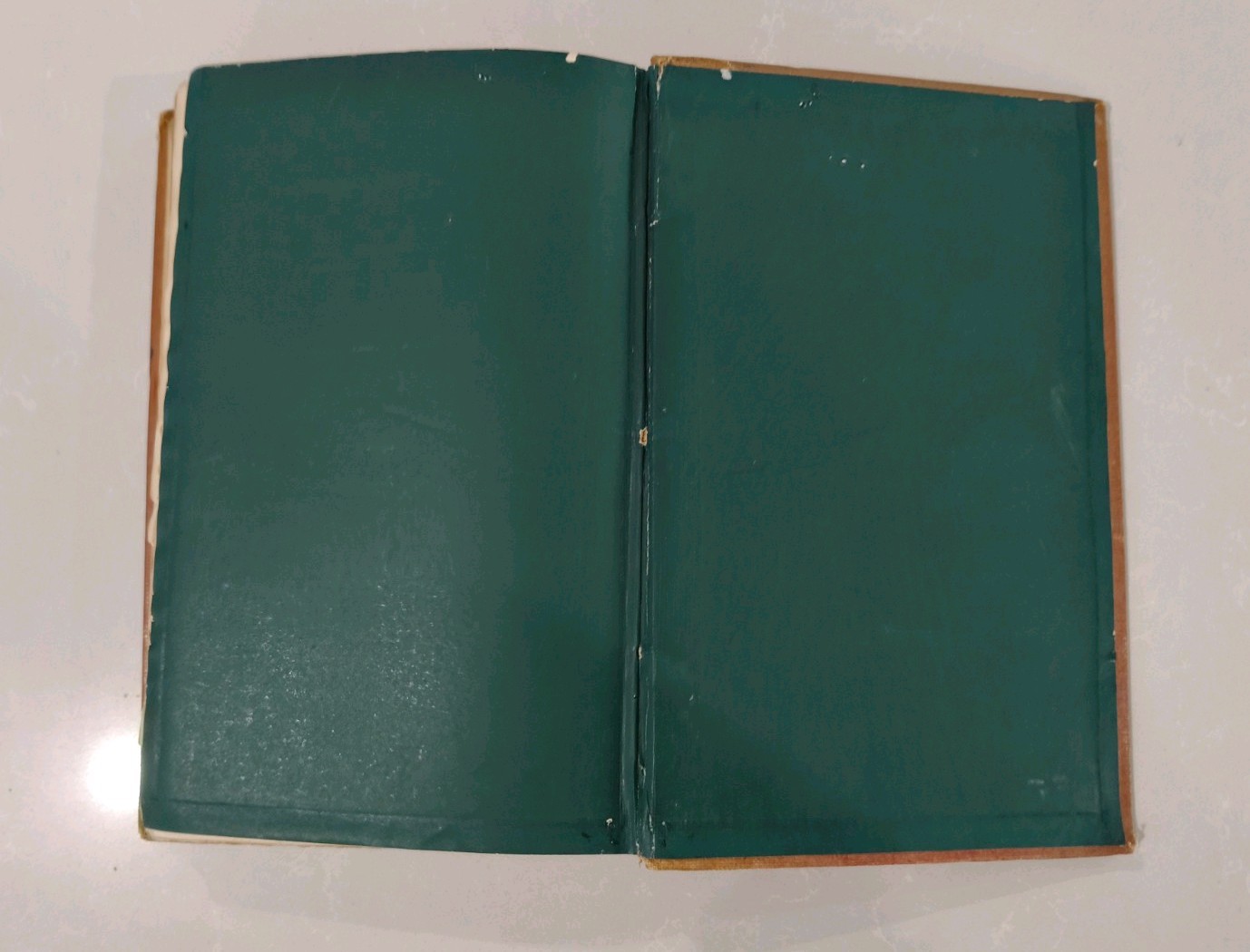 Idle Days in Patagonia W. H. Hudson 1893 1st Edition True First Chapman & Hall