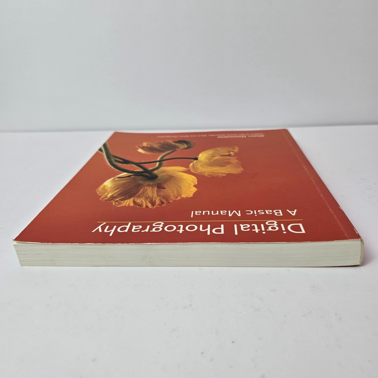 Digital Photography: A Basic Manual by Henry Horenstein