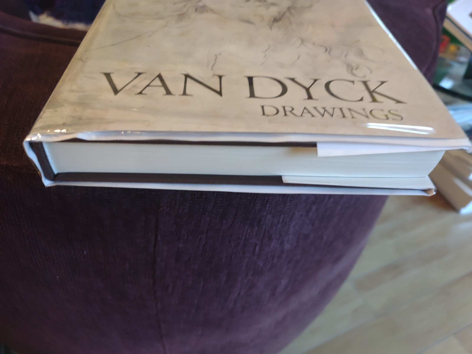 Van Dyck Drawings Hardcover – Import, January 1, 1991