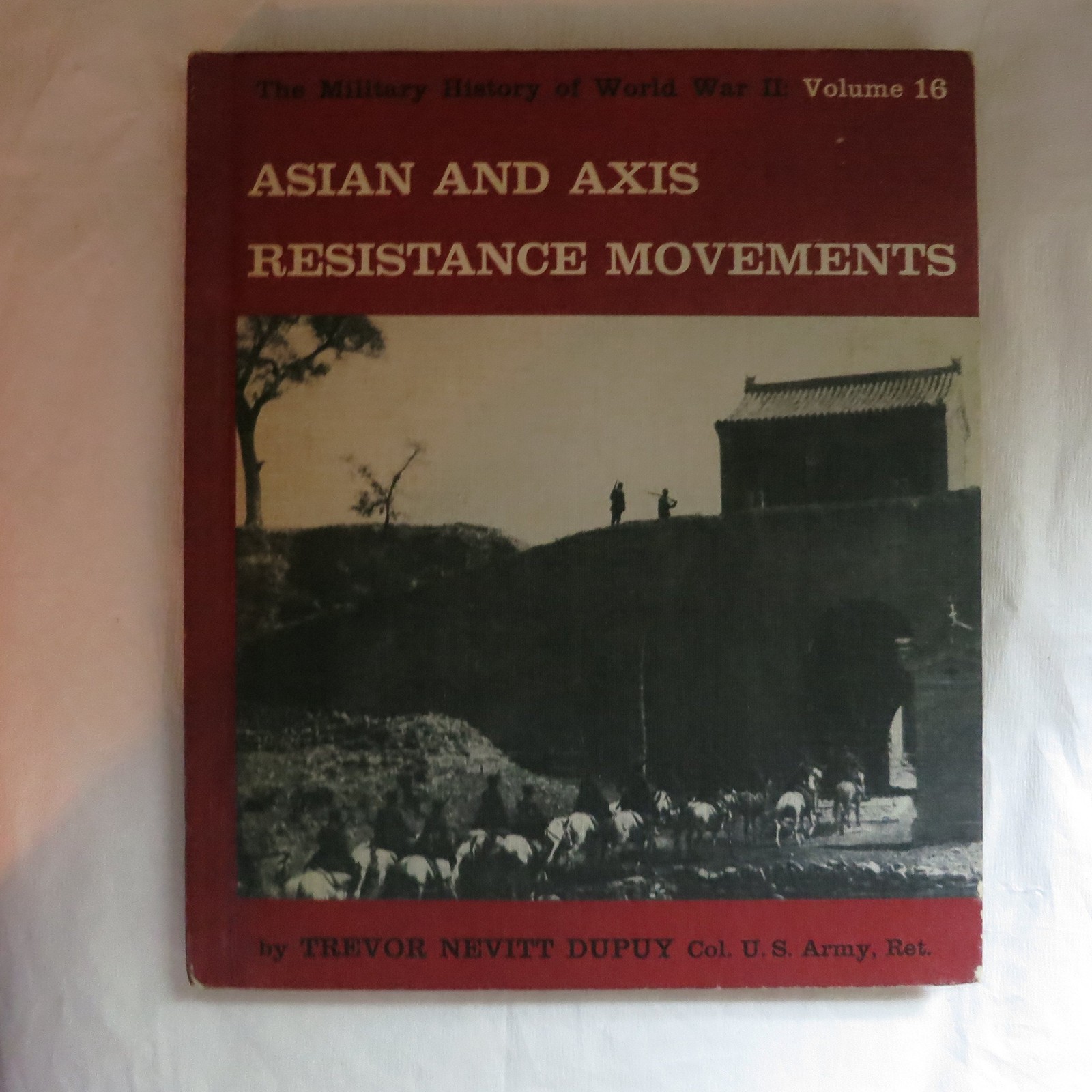 Asian and Axis Resistance Movements Volume 16 (The Military History of World…