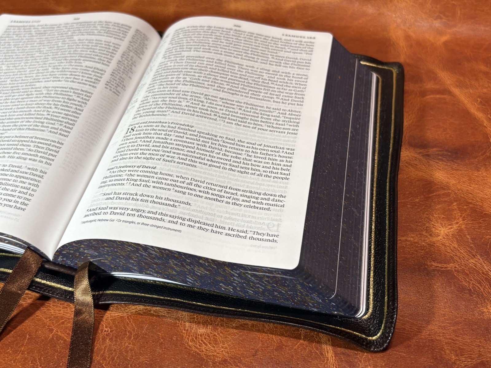 ESV Personal Reference Bible Caloca Binding