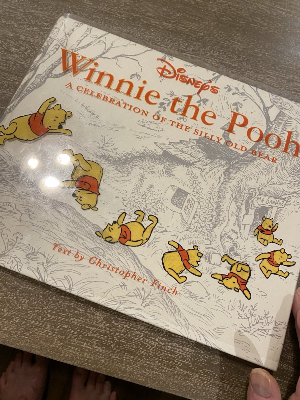 Disney’s Winnie the Pooh: A Celebration of the Silly Old Bear
