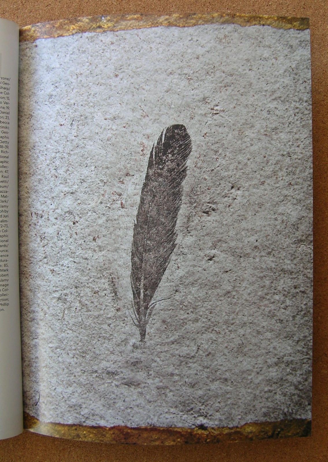 National Geographic DINOSAURS: A New Look at the Prehistoric Icons
