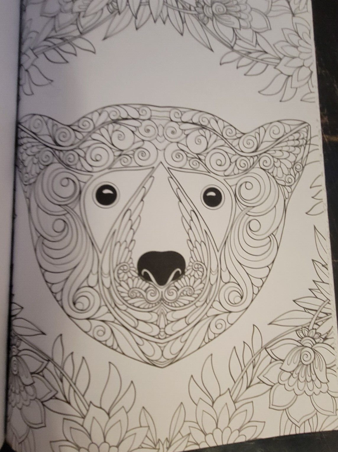 COLORS OF THE WILD Vol. 23 Adult Coloring Book With 47 Prints Ready To Frame!