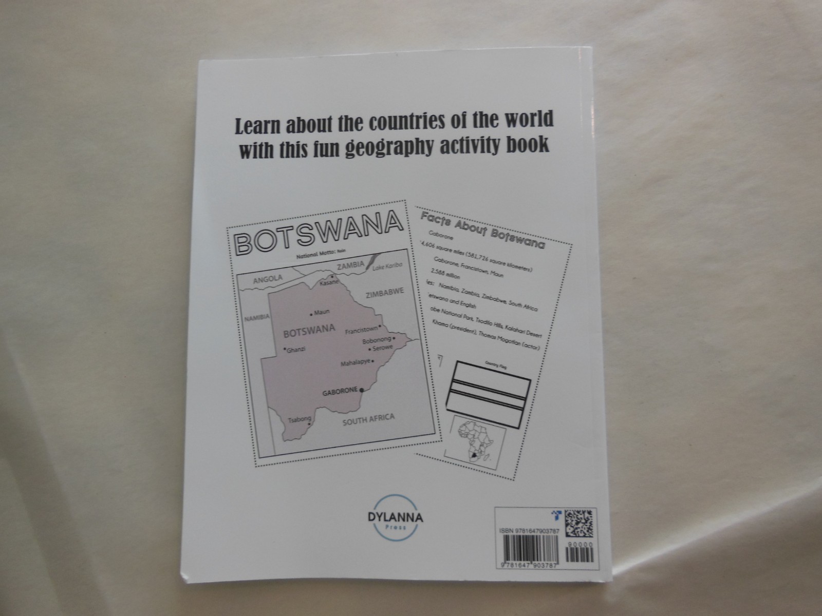 World Geography Activity Book by J. R. Grady and Dylanna Press (2023, Trade…