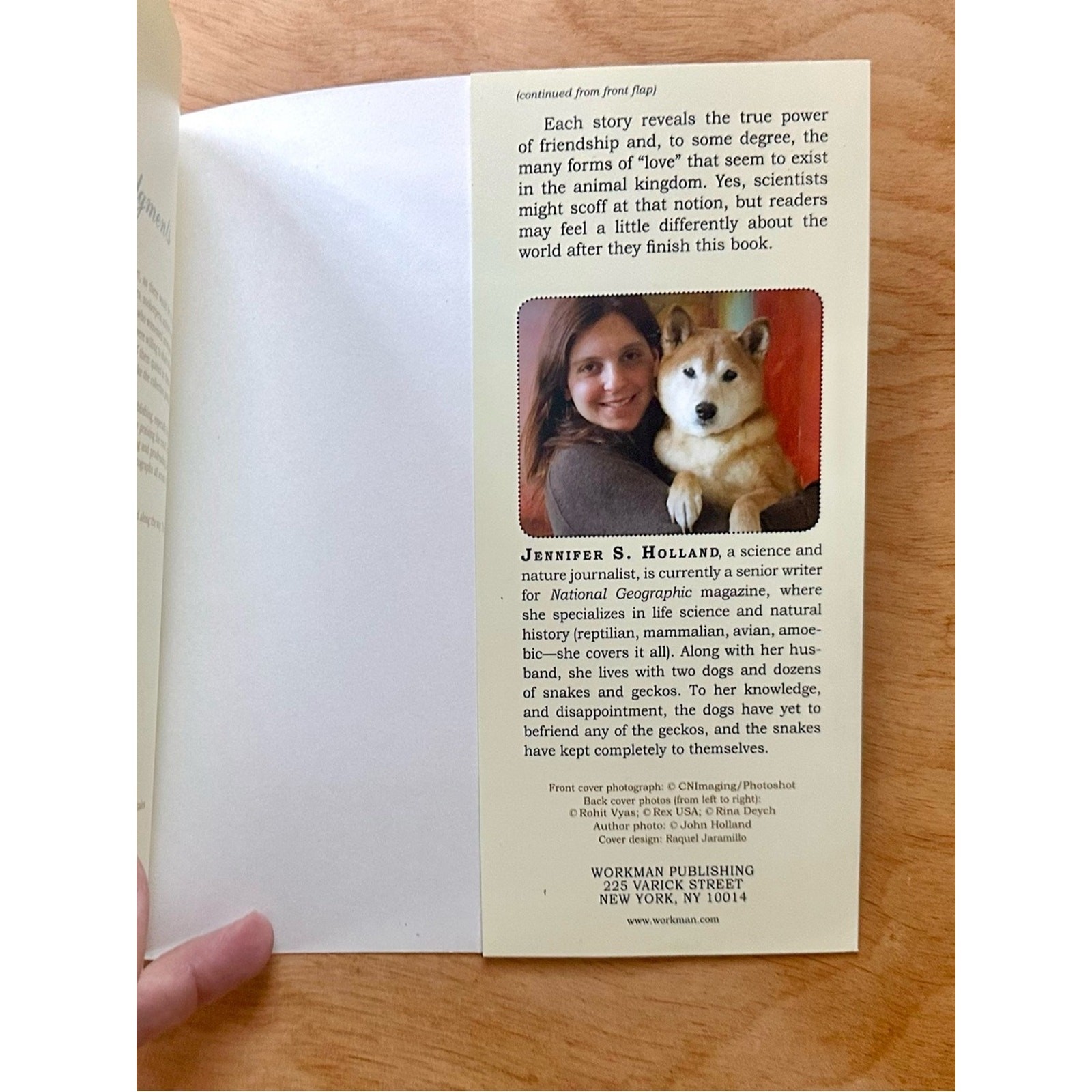 Unlikely Friendships Jennifer S Holland Paperback Animal Stories Book