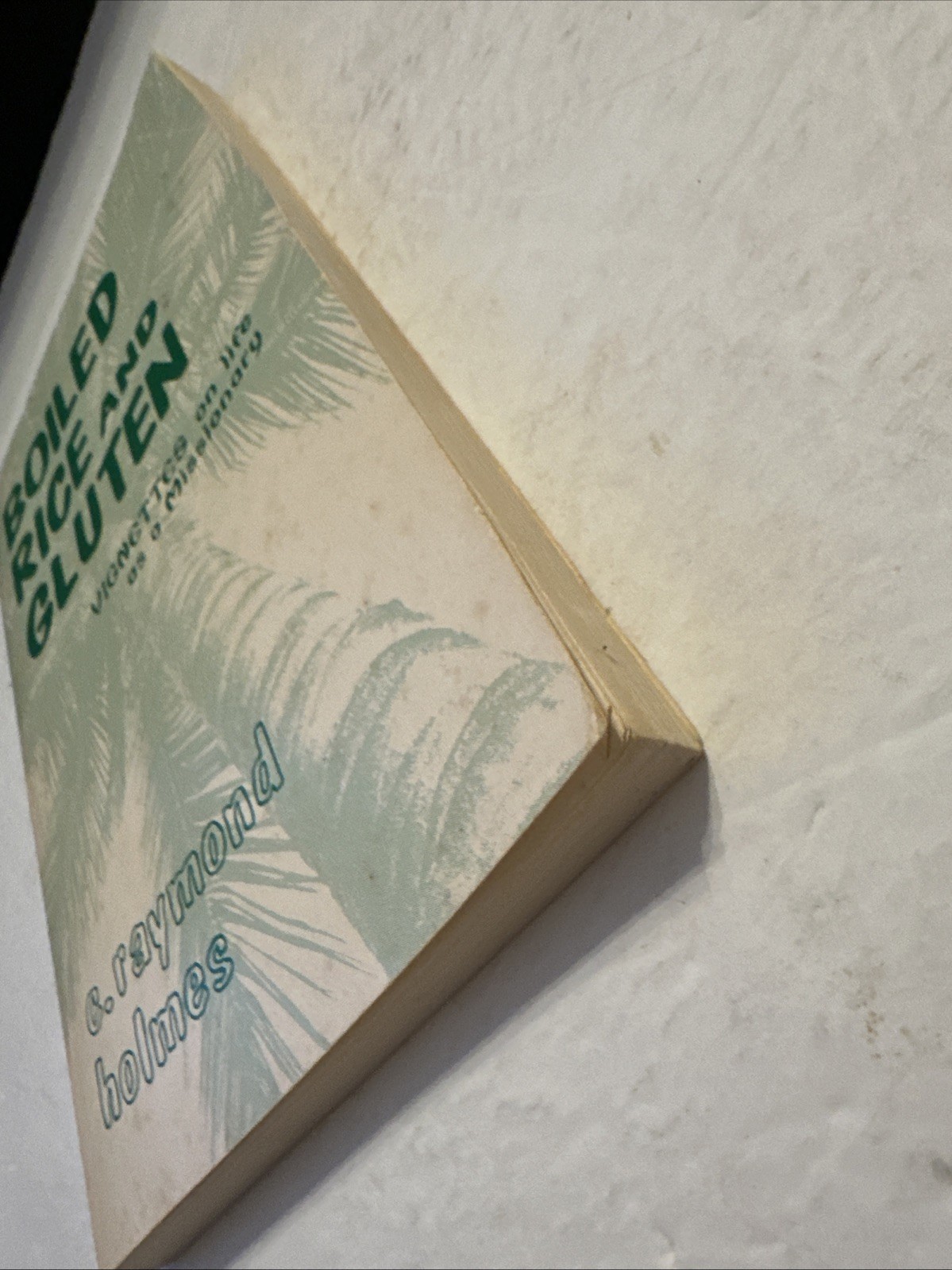 Boiled Rice and Gluten Vignettes on Life as a Missionary C Raymond Holmes PB