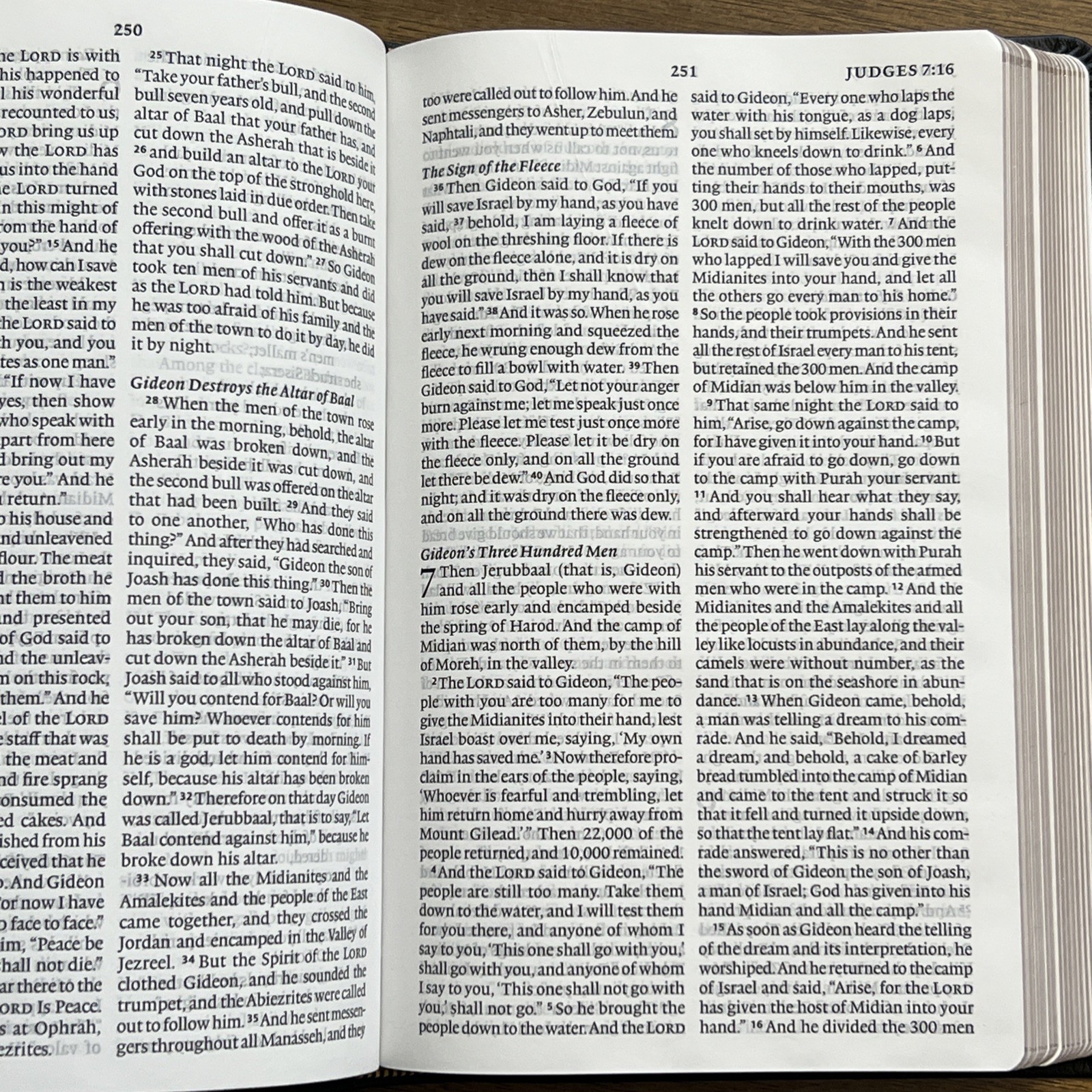 ESV Large Print Thinline Bible (Black Genuine Leather)