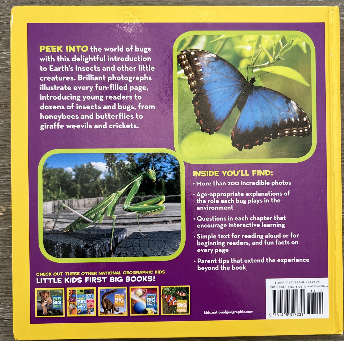 National Geo Little Kids First Big Book of Bugs by Catherine D. Hughes 2014