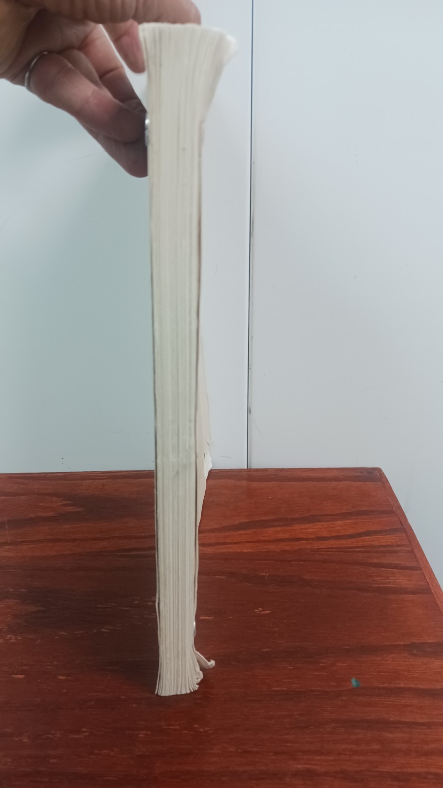 Screenplay Esclarmonde By S W Garland