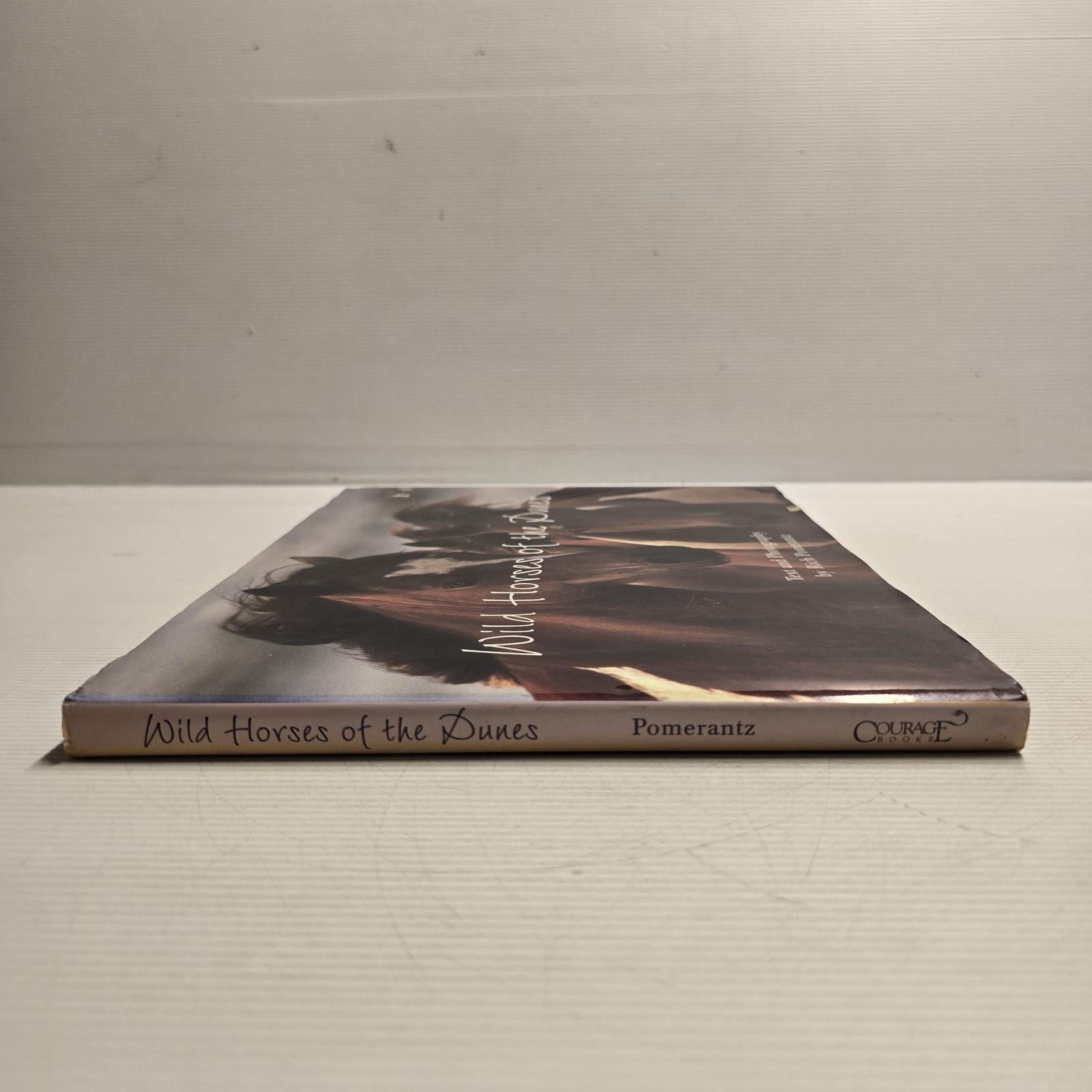 Wild Horses of the Dunes by Rich Pomerantz Hardcover Photography Book Nature
