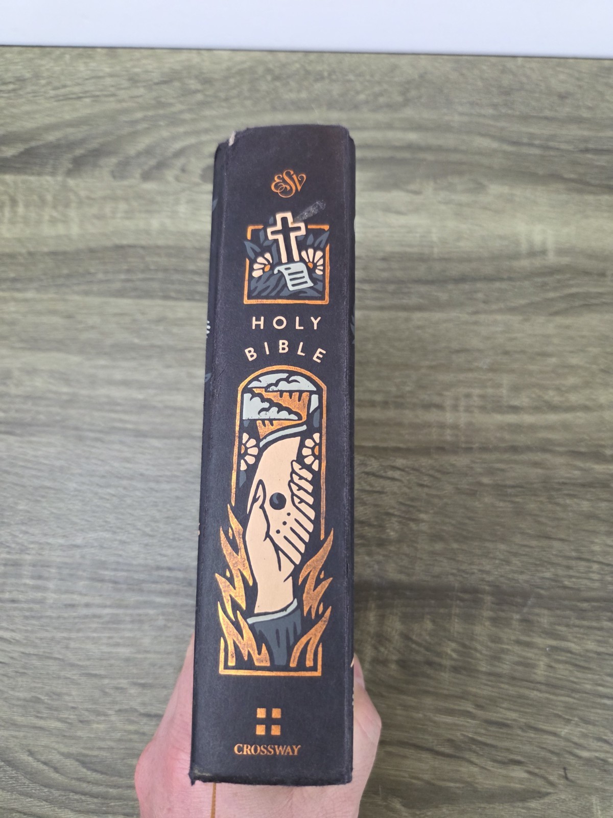 Holy Bible Crossway Decorative Hardcover Illustrated Lion Lamb ESV