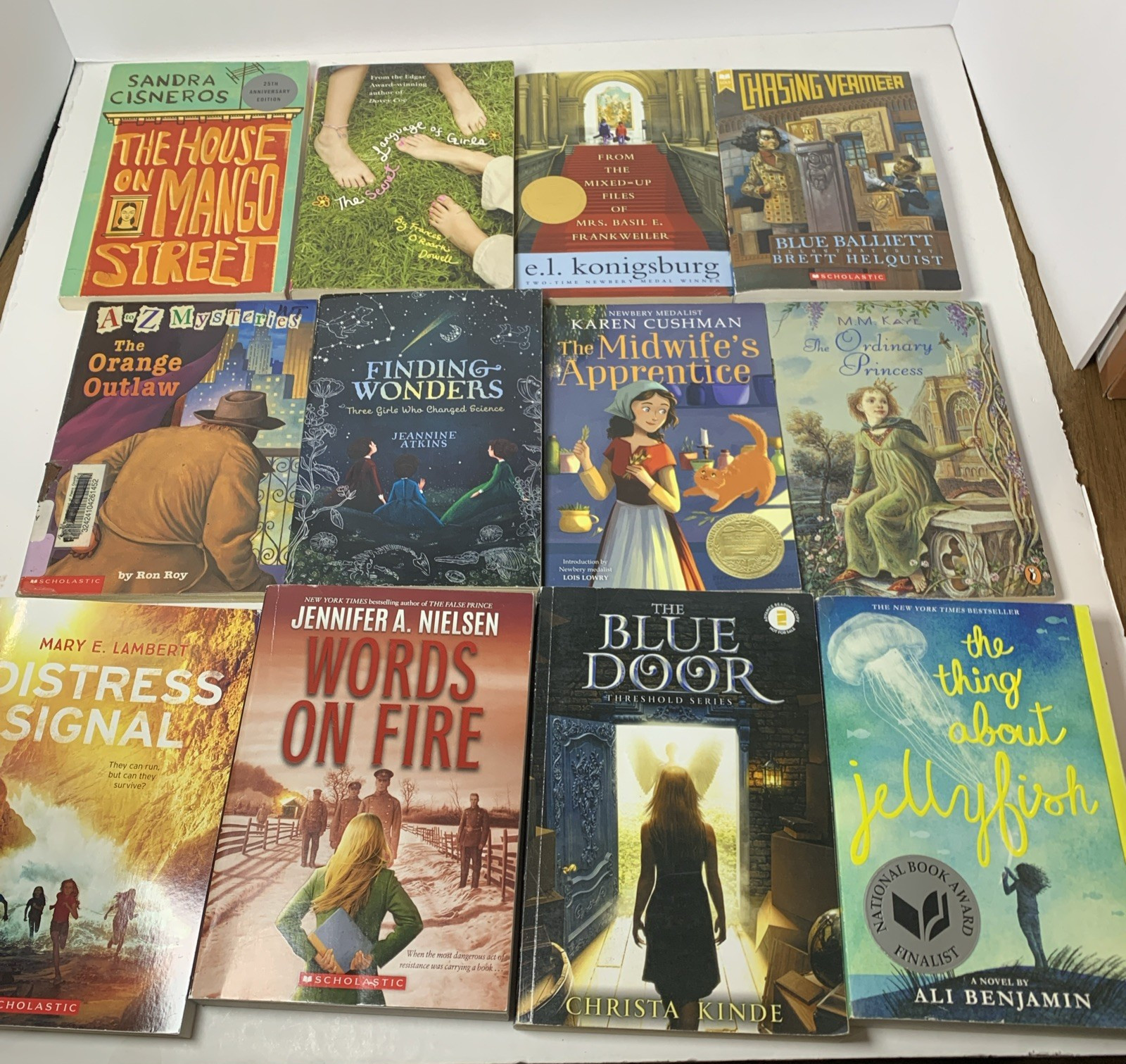 Girls Chapter Book Lot 29 Mango Street Chasing Vermeer Jellyfish Mixed Set