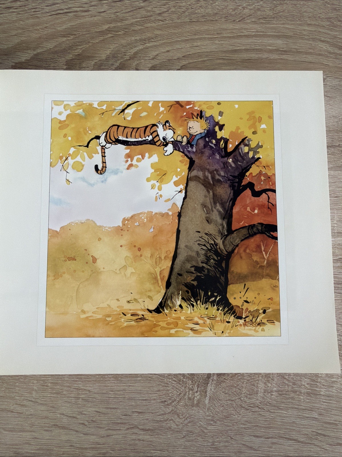Calvin and Hobbes by Bill Watterson (2005, Hardcover) BOOK 2 ONLY 1st Ed