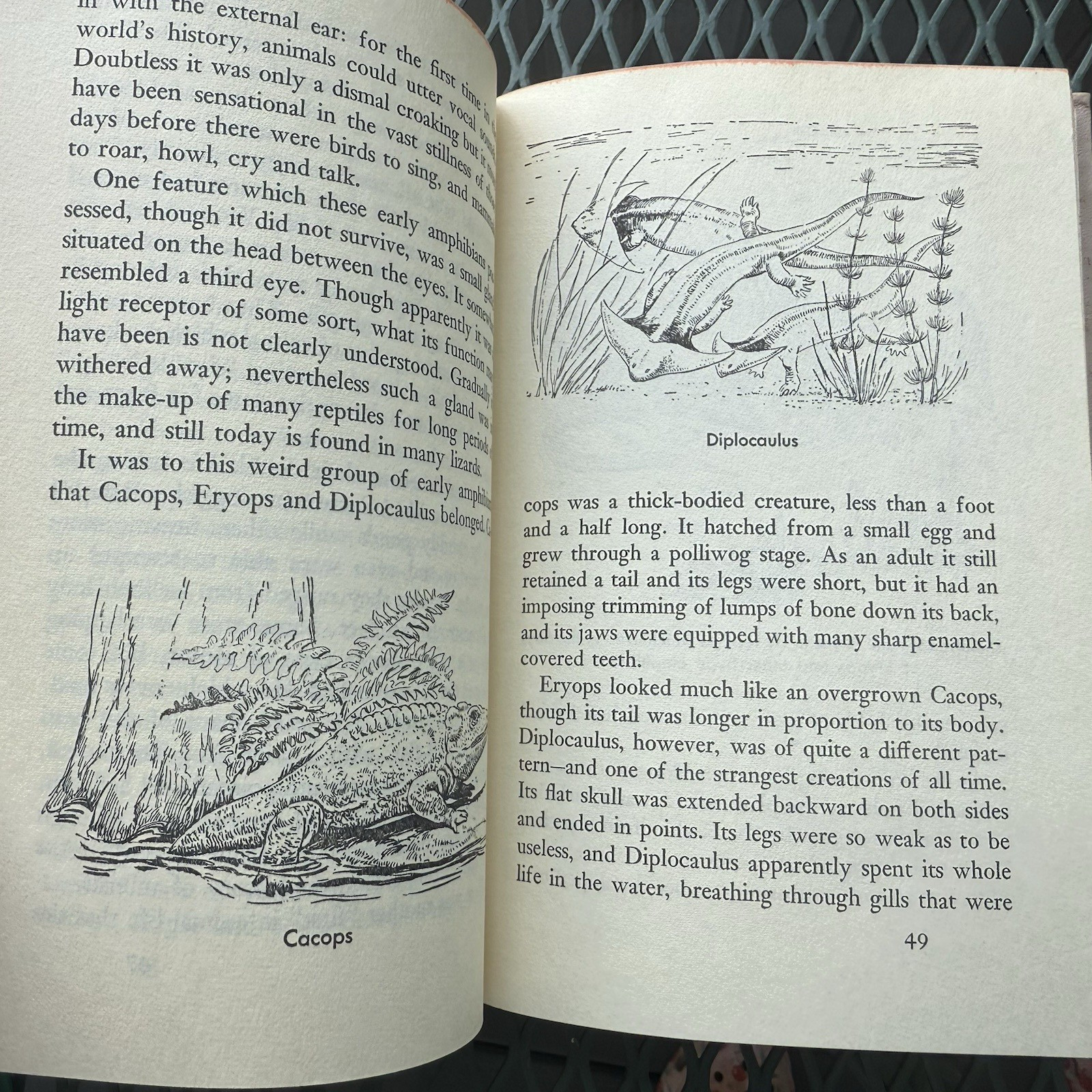 1957 The Real Book About PREHISTORIC LIFE Garden City Books