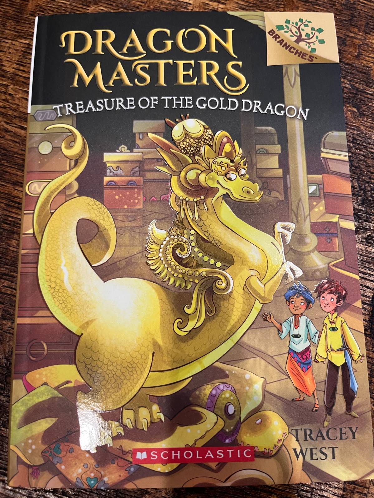 Dragon Masters Books 9-12 Set Scholastic Fantasy Series Paperback Lot Complete