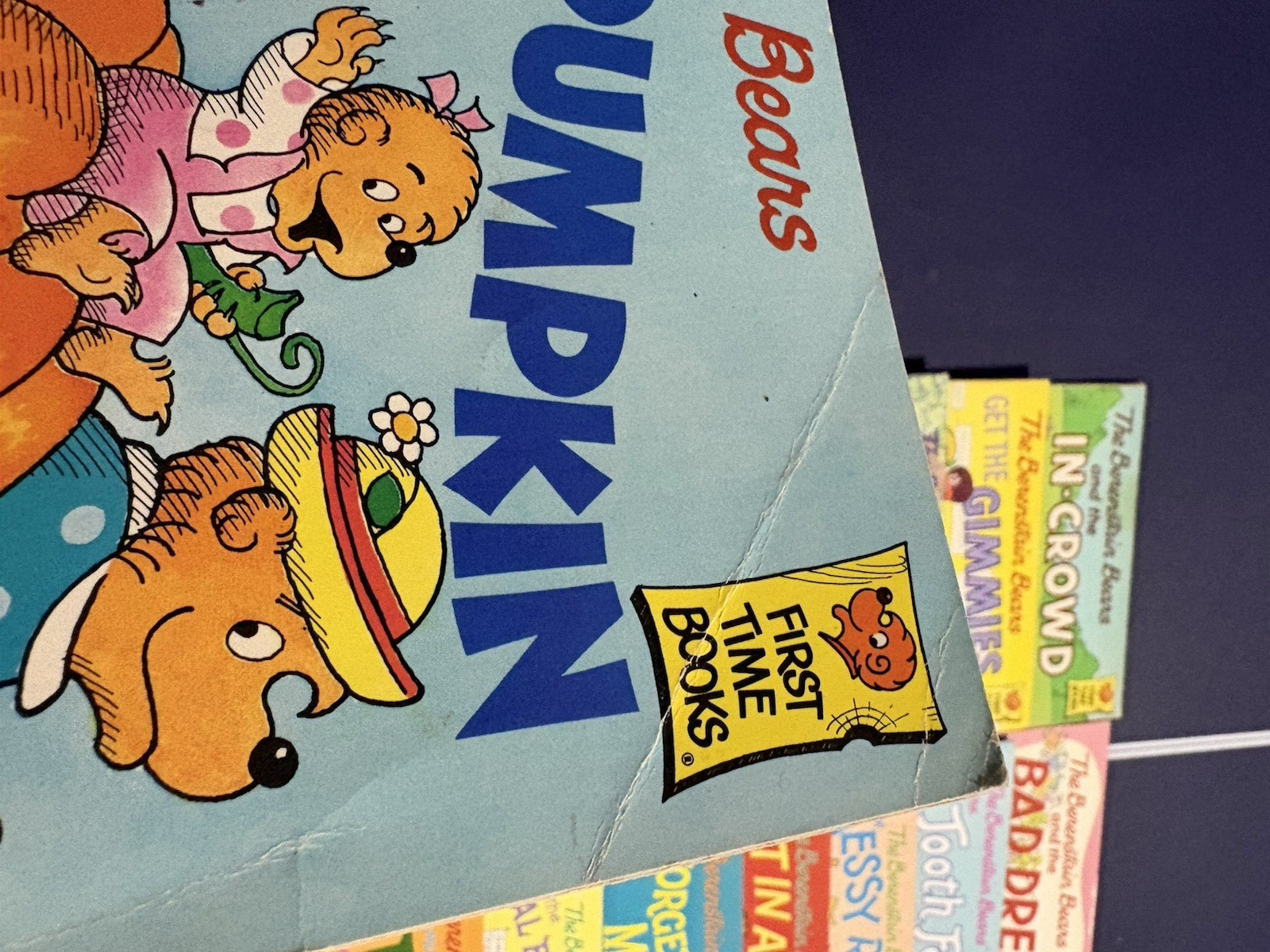 25 Berenstain Bears Books Mostly First Time by Jan Stan & Mike Berenstain No Dup