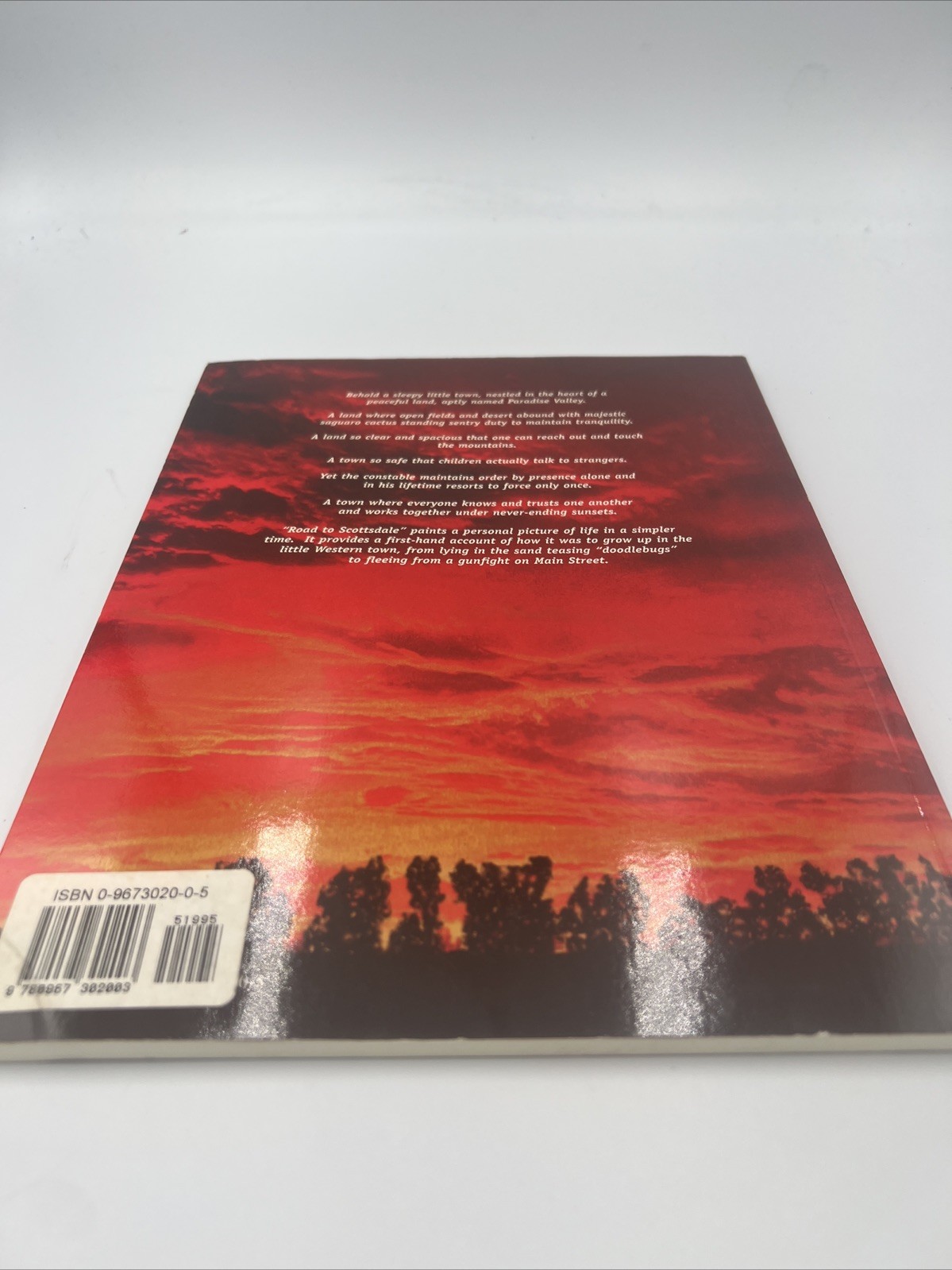 Road to Scottsdale by Albert J. Lieber (1999, Trade Paperback)