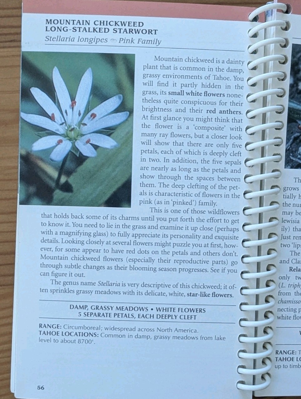 Wildflowers Of The Tahoe Sierra 140 Pages Spiral Binding 4″ x 6-1/4″