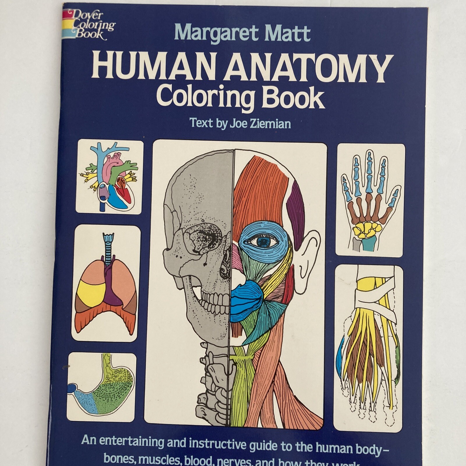 Drawing Book Lot: Head & Figure, Anatomy, The Human Head, Burne Hogarth, VG Cond