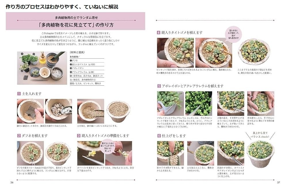 Flowerlike Succulent Arrangement Book Succulents Japanese Gardening Guide