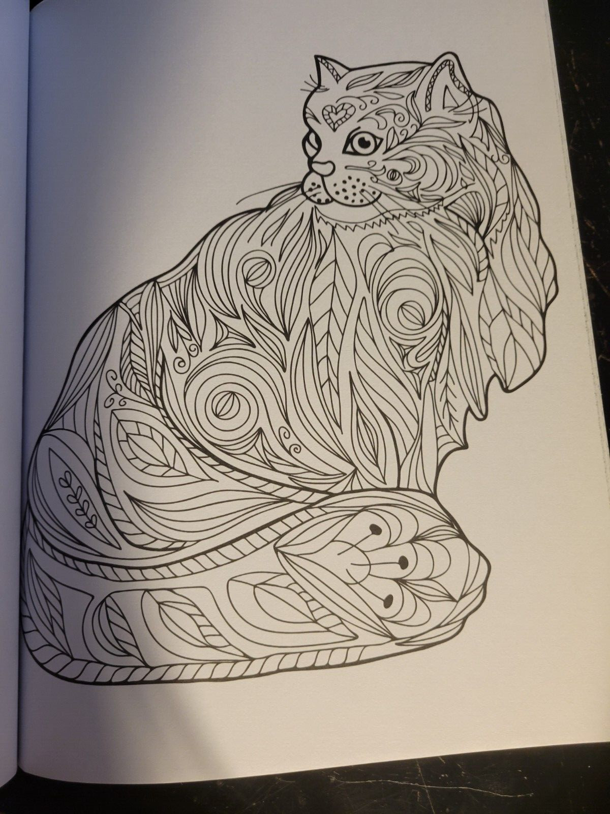 MAGNIFICENT CREATURES Vol 13 Adult Coloring Book by TOPIX MEDIA – 47 PRINTS