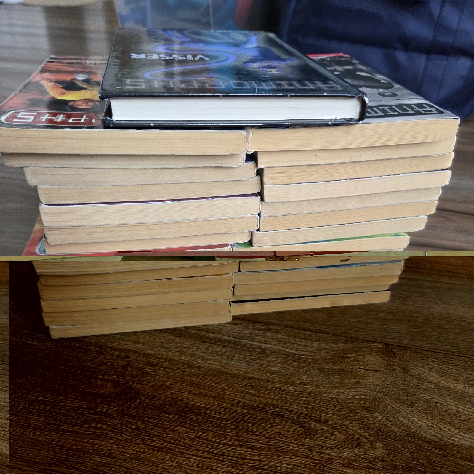 Vintage Lot of 27 Animorphs Paperback Books K.A. Applegate